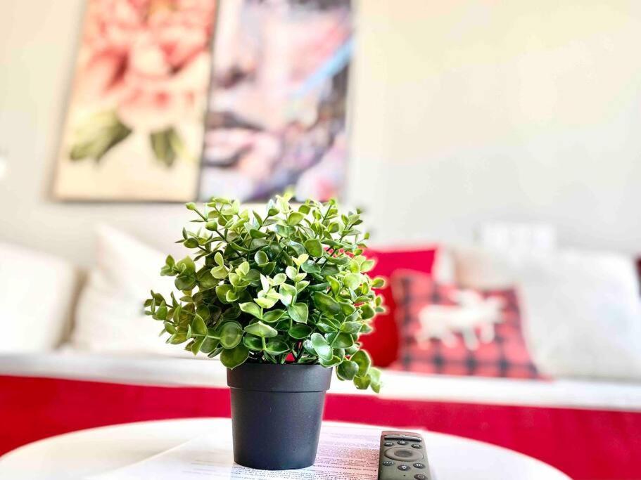 Apartment Tropicana 218 Macalister #wondercolor #infinity Pool #georgetown #5pax #2br 2bath #1king 1queen 1single #quality Well Maintained #private Host *